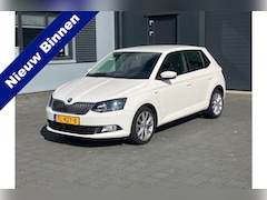 Skoda Fabia - 1.0 TSI Clever CLIMA CRUISE NAVI 97333KM