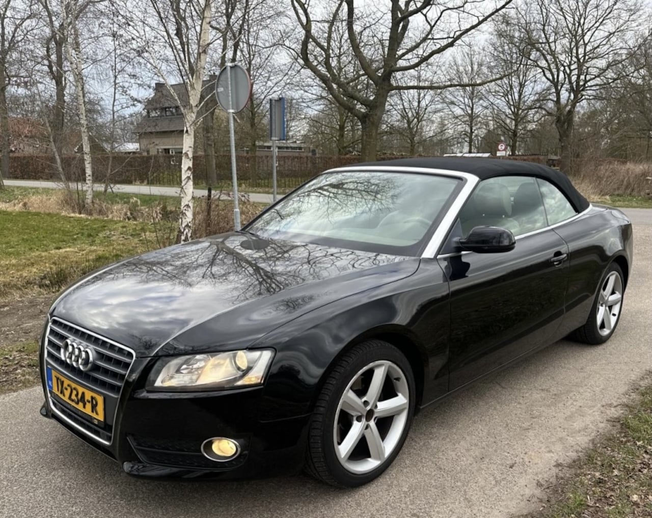 Audi A5 Cabriolet - 1.8 TFSI Pro Line 1.8 TFSI Pro Line - AutoWereld.nl