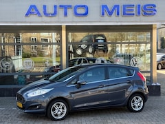 Ford Fiesta - 1.0 EcoBoost Titanium Navi Clima Cruise PDC