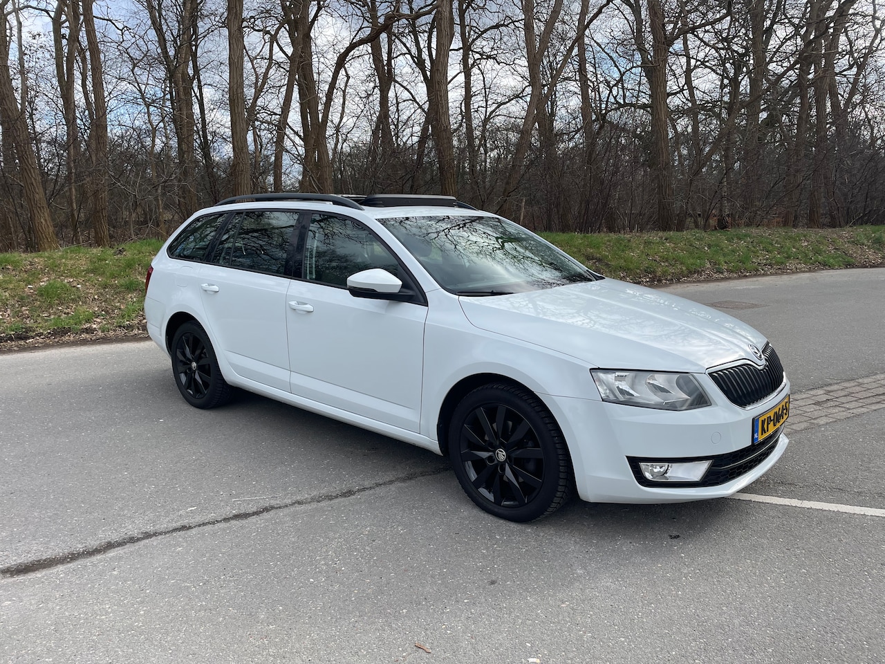 Skoda Octavia Combi - 1.0 TSI Greentech Ambition Business - AutoWereld.nl