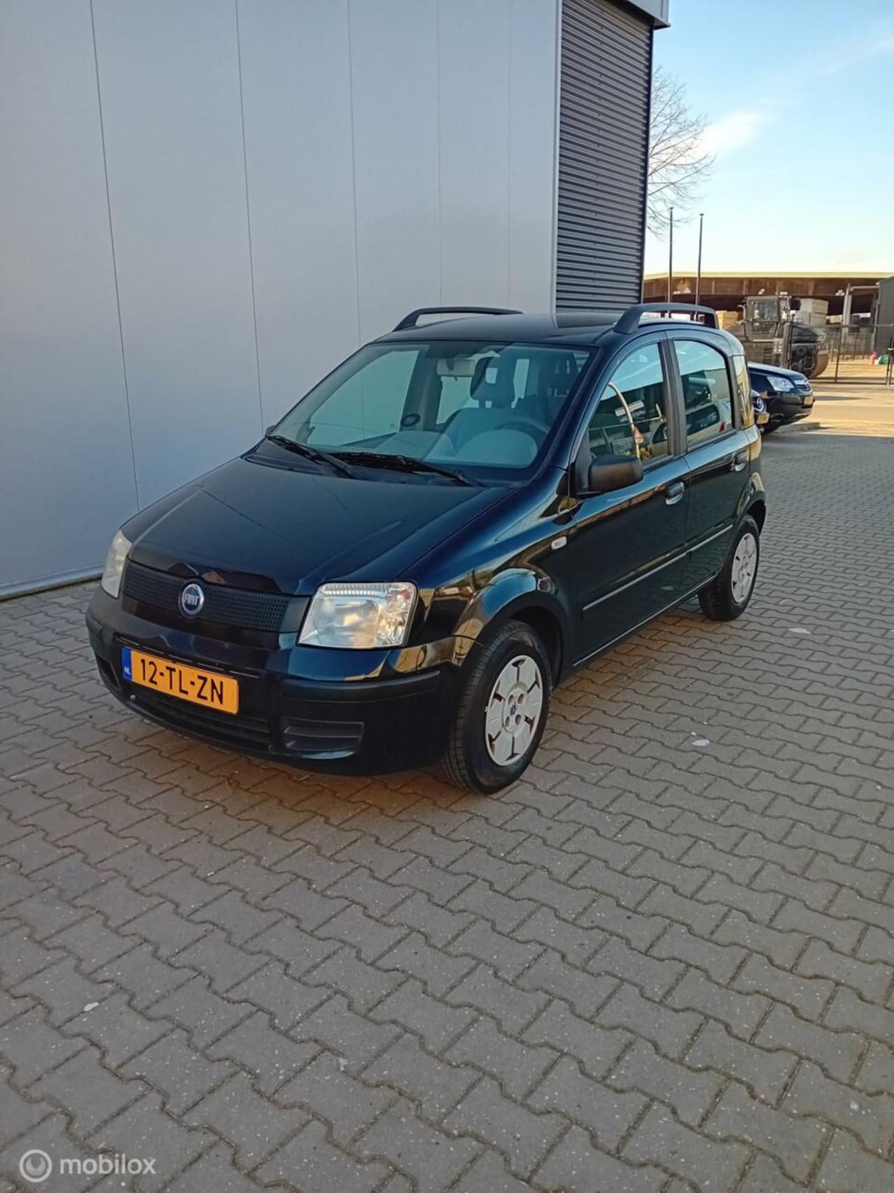 Fiat Panda - 1.1 Young 1.1 Young - AutoWereld.nl