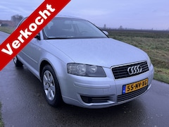 Audi A3 - 1.6 Ambiente ECC/CRUISE/AUTOMAAT