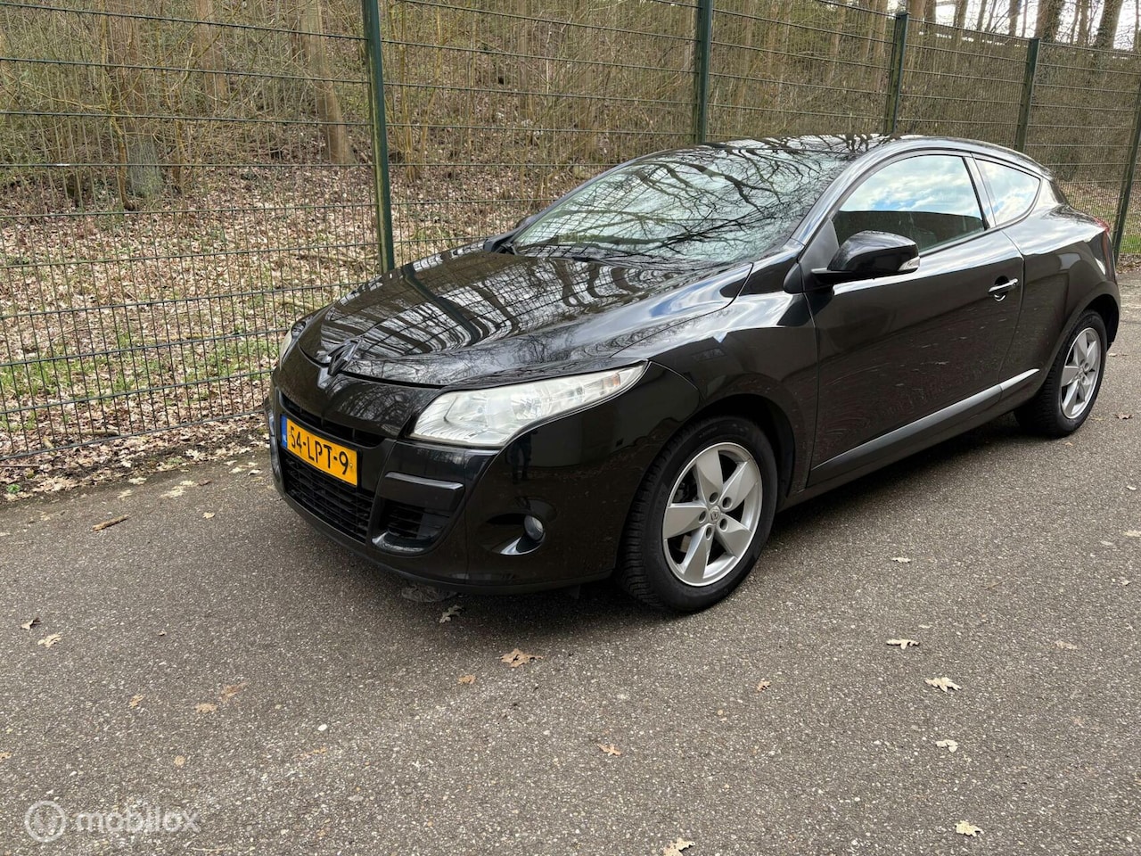 Renault Mégane Coupé - 1.6 Dynamique 1.6 Dynamique - AutoWereld.nl