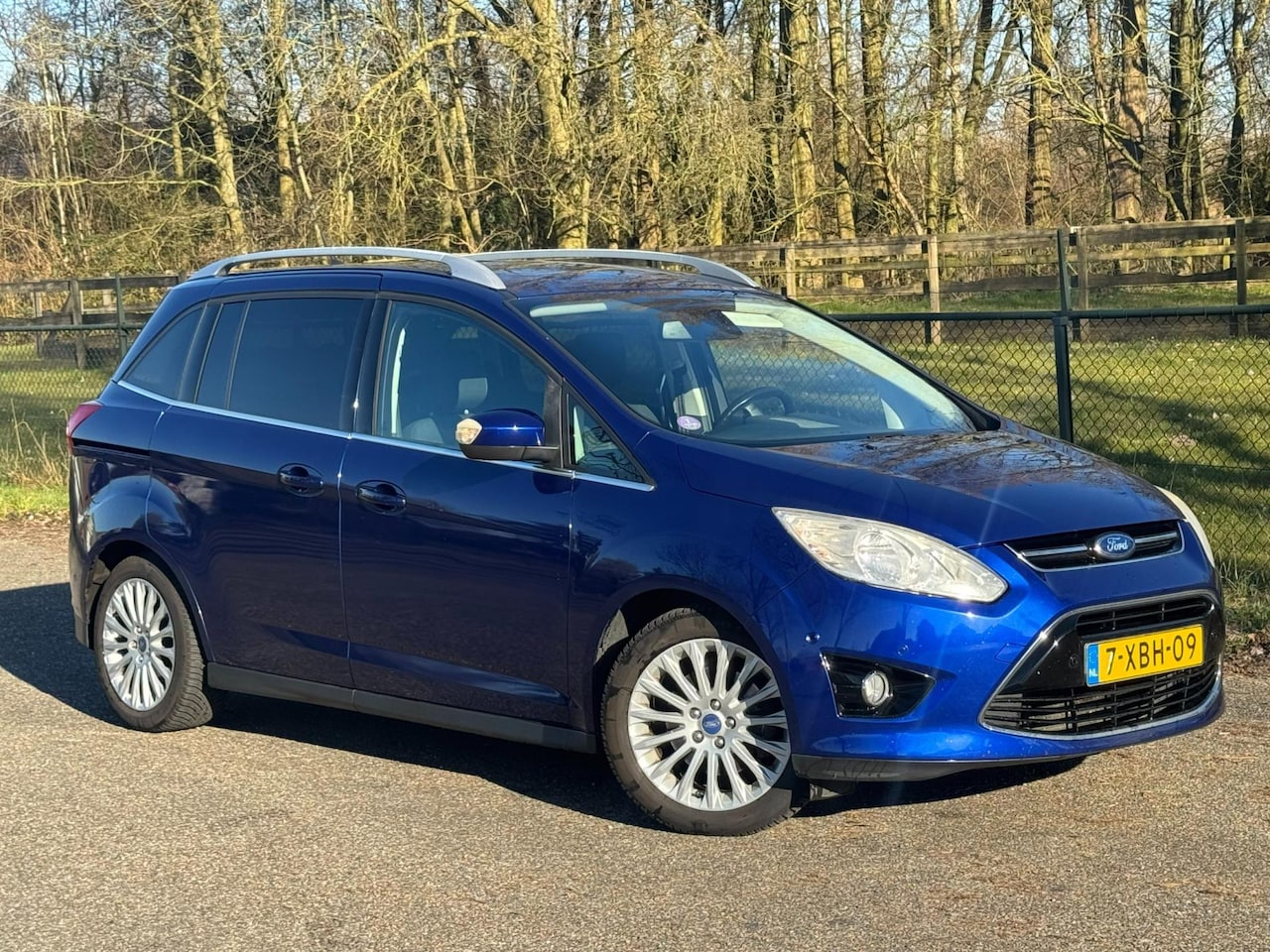 Ford Grand C-Max - 1.0 Edition Plus 7p./Navi/Airco/Trekhaak/ - AutoWereld.nl