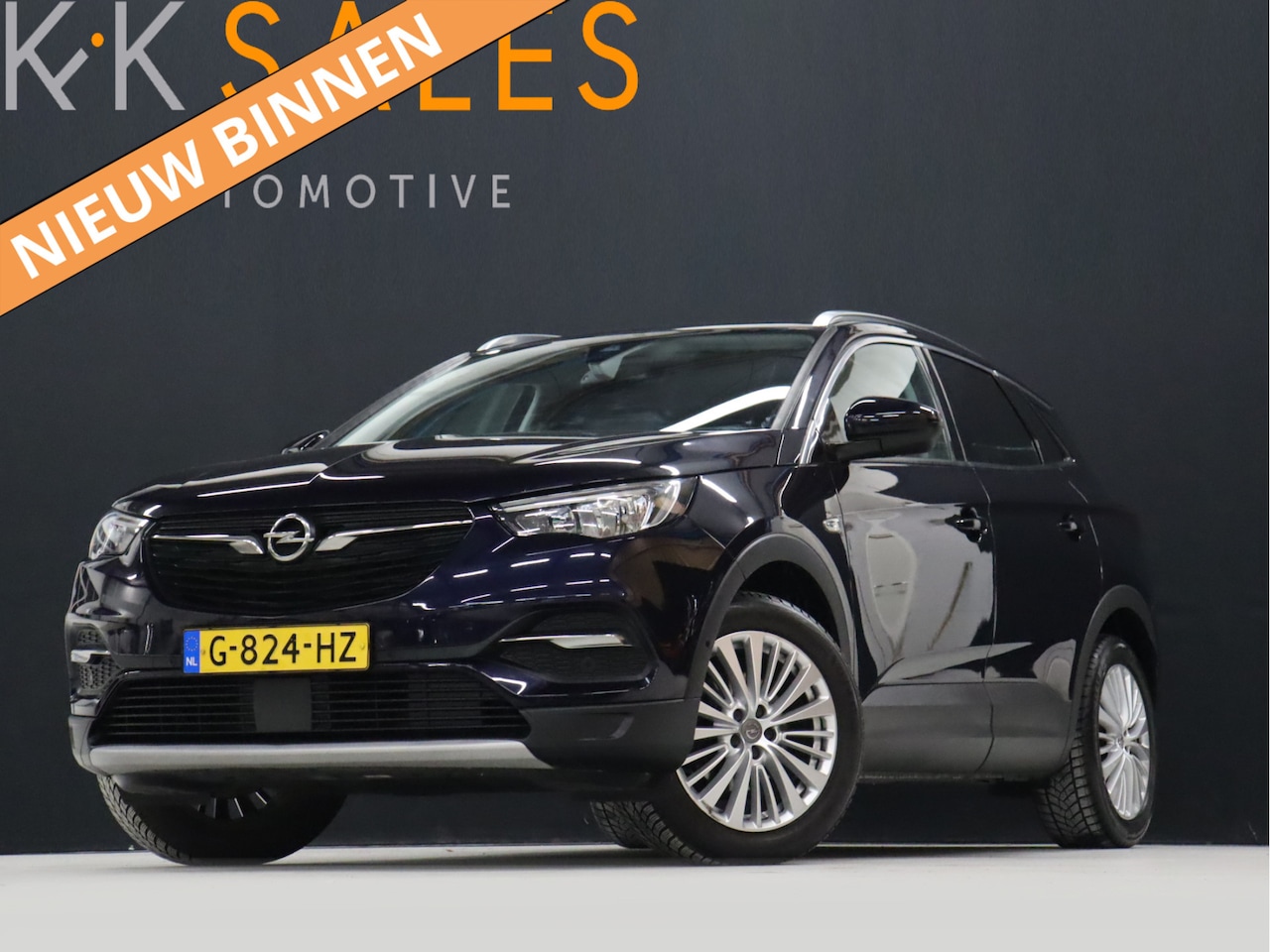 Opel Grandland X - 1.2 Turbo Business Executive [APPLE CARPLAY, CRUISE CONTROL, STOELVERWARMING, CAMERA, TREK - AutoWereld.nl