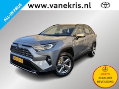 Toyota RAV4 - 2.5 Hybrid Executive Trekhaak, Leder, BSM, JBL, 360 camera