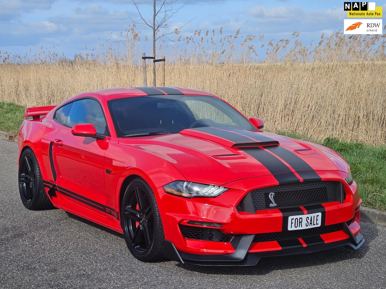 Ford Mustang Fastback - 5.0 V8 GT 350 uitvoering (handgeschakeld !) 466 pk ! - AutoWereld.nl