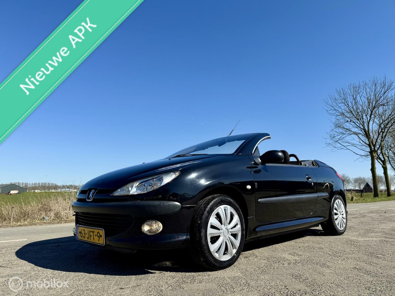 Peugeot 206 CC - 1.6-16V 1.6-16V, BJ 2003, Lage km, APK Maart 2026 - AutoWereld.nl