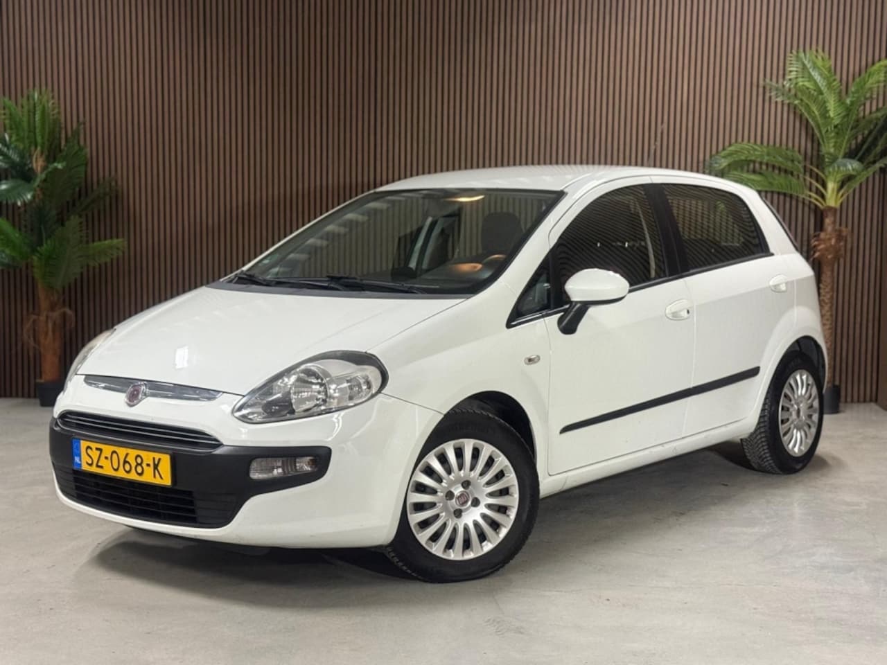 Fiat Punto Evo - Dis.Riem vervangen 1.4-16V m-air Dyn. - AutoWereld.nl