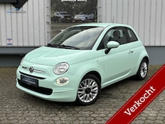 Fiat 500 - 1.2 Young | Cruise control | 15'' velgen | Verde Lattementa