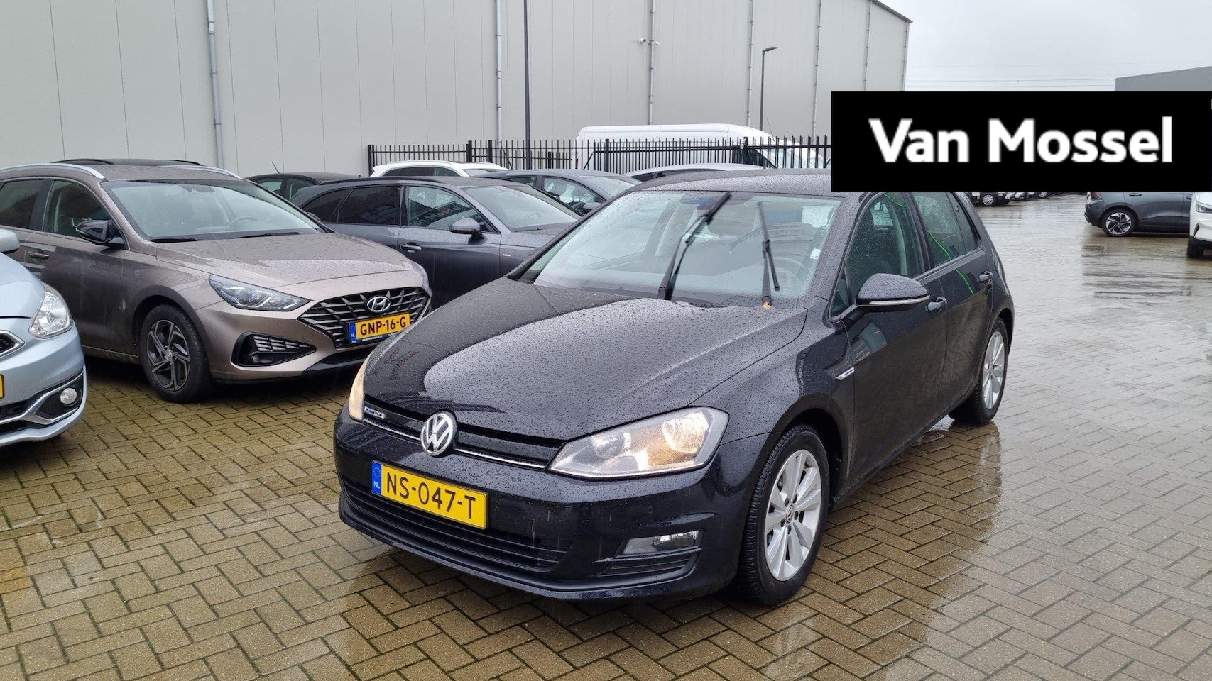 Volkswagen Golf - 1.0 TSI Comfortline 1.0 TSI Comfortline - AutoWereld.nl