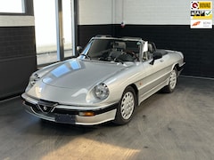 Alfa Romeo Spider - 2.0 QV, NL Auto, Leder, Sportpakket, Zeer netjes, roestvrij