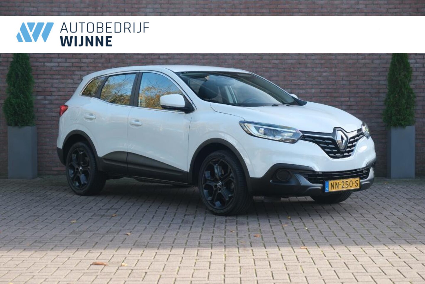 Renault Kadjar - 1.2 TCe 131pk Life | Climate | Cruise | PDC | 19" velgen - AutoWereld.nl