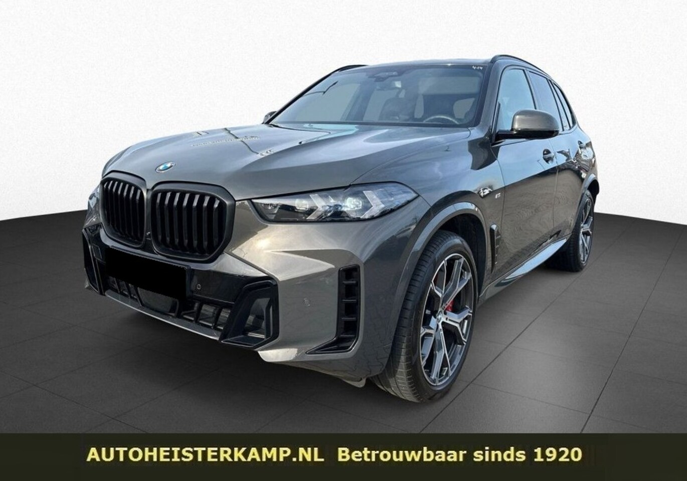 BMW X5 - xDrive30d Grijs Kenteken ACC Panoramadak Head-Up 21 Inch Stoelkoeling Trekhaak - AutoWereld.nl