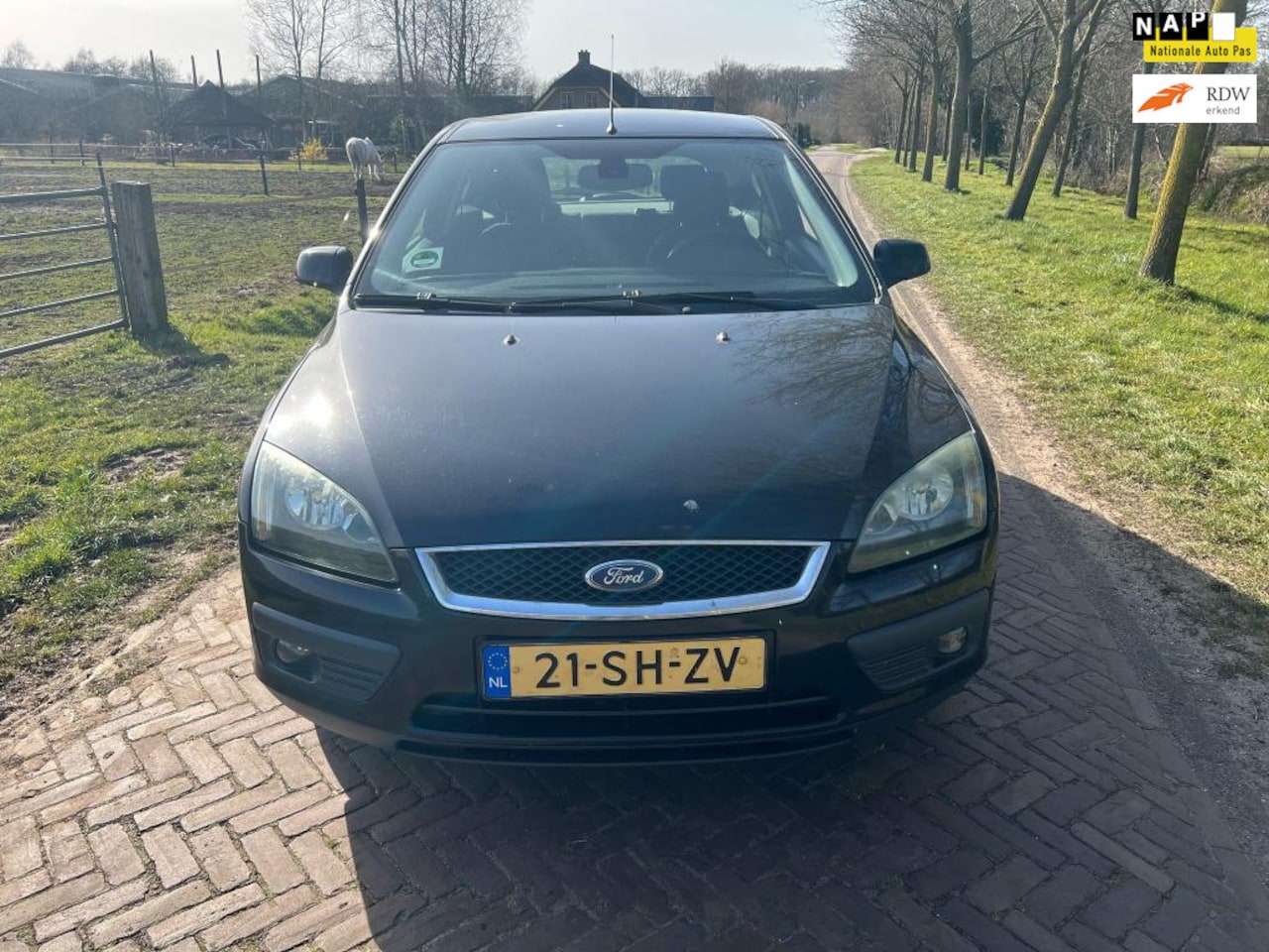 Ford Focus - 1.6-16V First Edition 1.6-16V First Edition - AutoWereld.nl