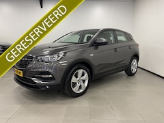 Opel Grandland X - 1.2 Turbo 130PK / AUTOMAAT / Business / Camera /