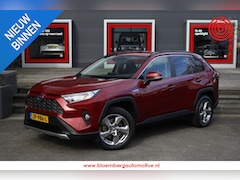 Toyota RAV4 - 2.5 Hybrid First Edition Winterpack