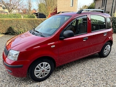 Fiat Panda - 1.2 Classic