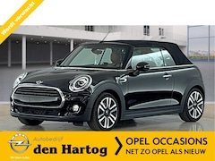 MINI Cabrio - 1.5 Cooper Bruin Leder/Harman-Kardon/Navi/Camera