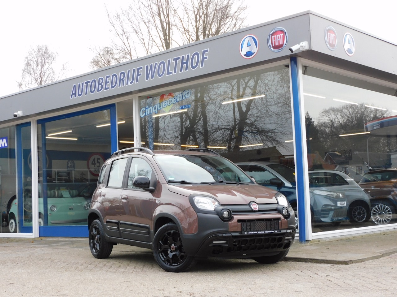 Fiat Panda - 1.2 cross Trussardi zeldzaam ! - AutoWereld.nl