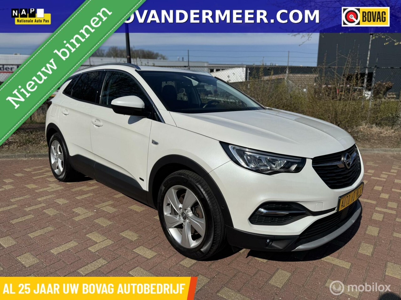 Opel Grandland X - 1.6 Turbo Hybrid Elegance / Elektr. Achterklep / Etc.. - AutoWereld.nl