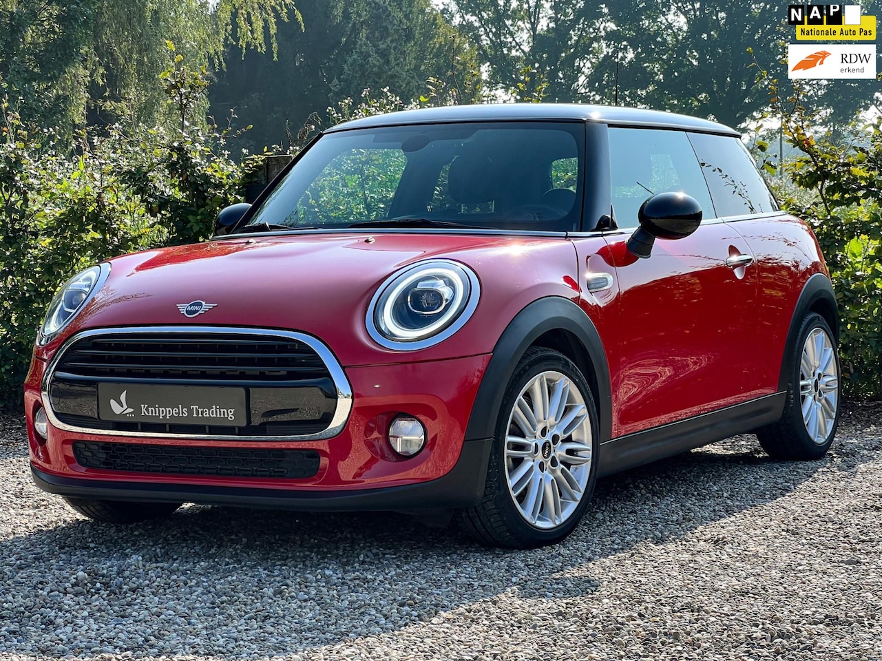 MINI Cooper - Mini Cooper 1.5 Chili - AutoWereld.nl