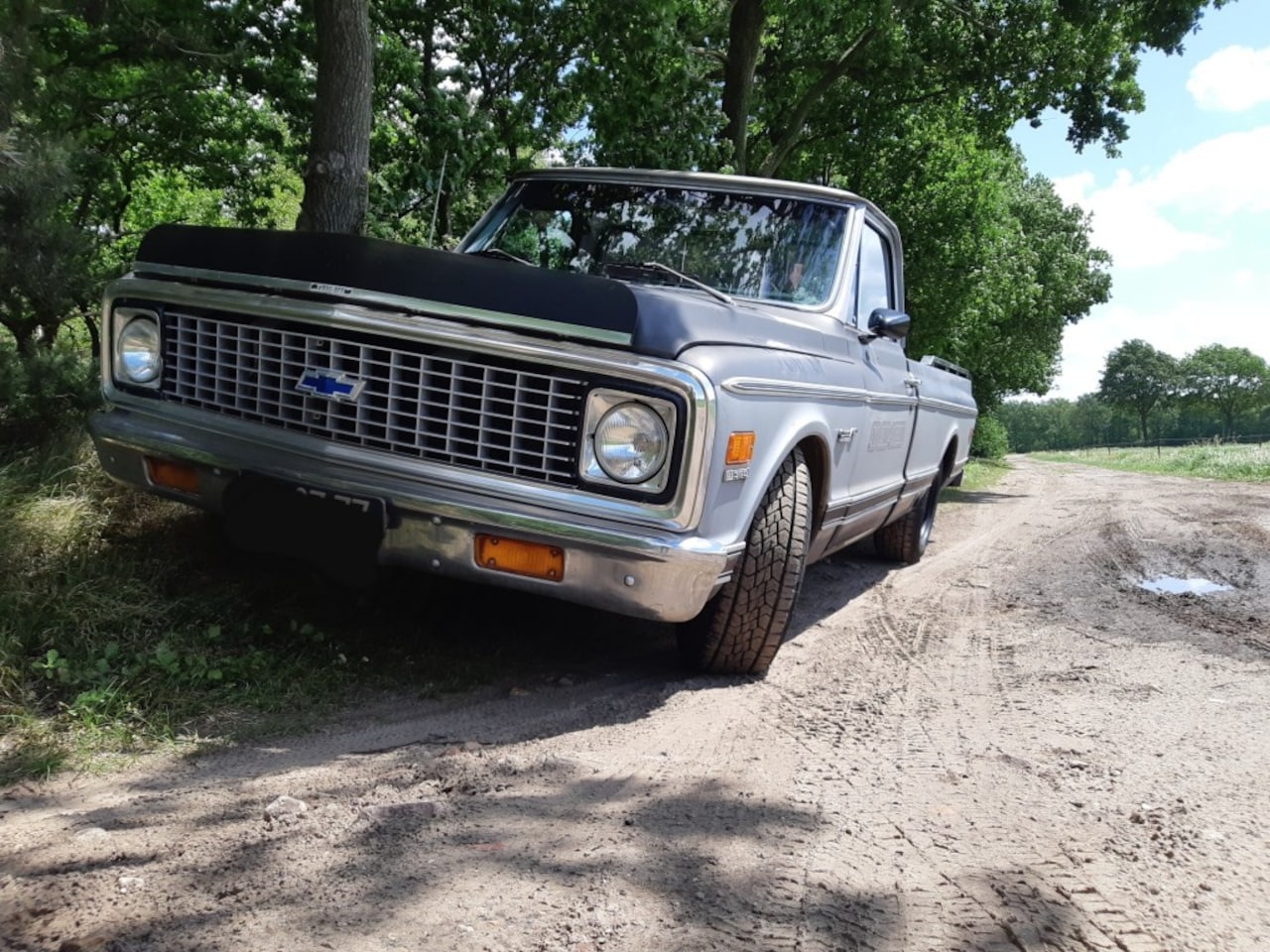 Chevrolet C10 - C10 Nine Window Custom DeLuxe - AutoWereld.nl