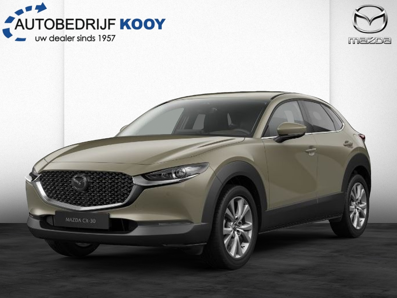 Mazda CX-30 - 2.5 e-SkyActiv-G 140 Takumi / Zwart leer - AutoWereld.nl