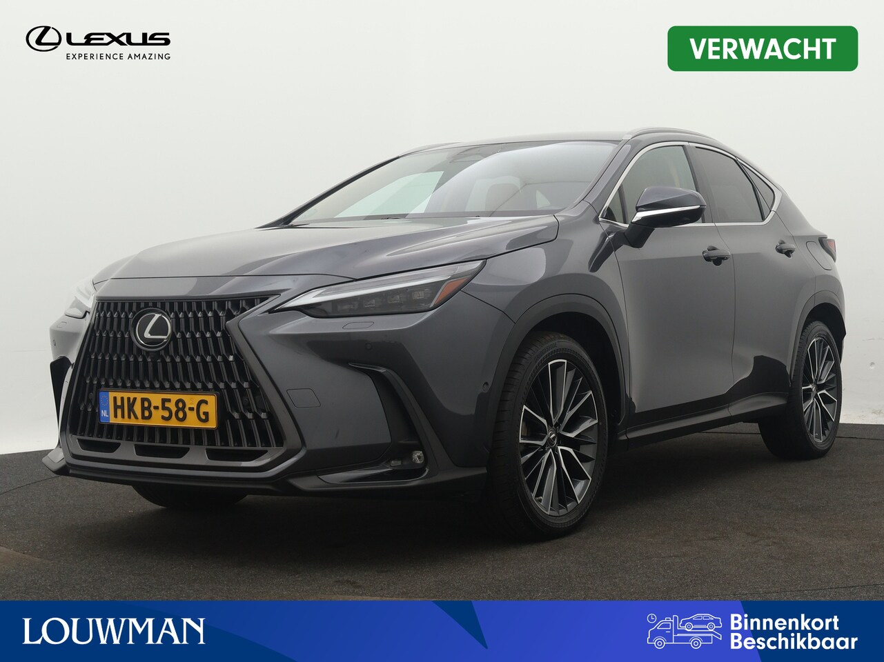 Lexus NX - 450h+ AWD Executive Line | 20" LM Velgen | Triple LED | Houtafwerking | - AutoWereld.nl