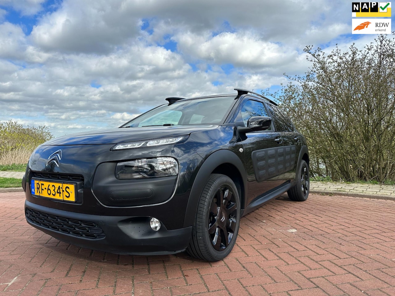 Citroën C4 Cactus - 1.2 PureTech One-Tone navi/camera/nap - AutoWereld.nl