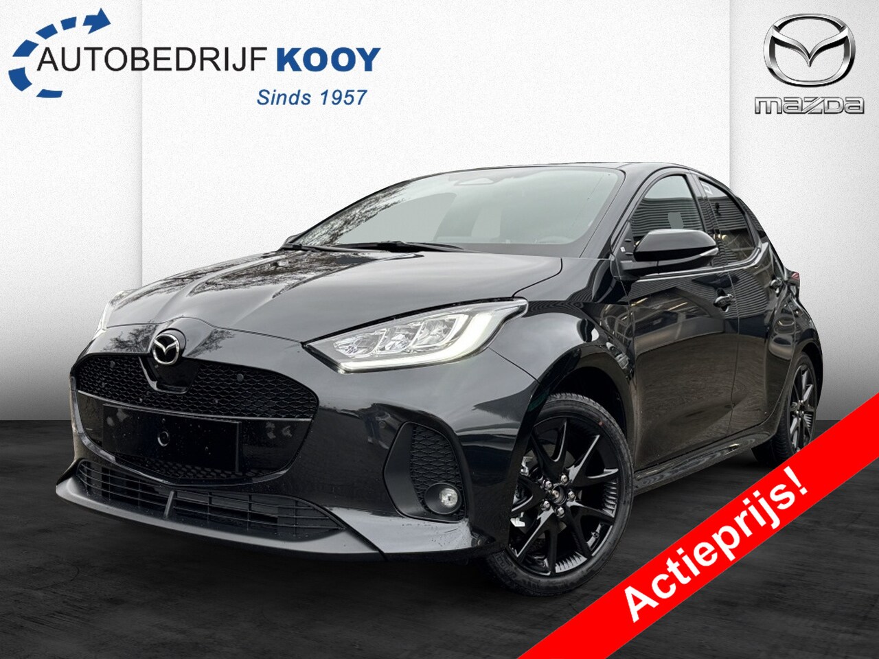 Mazda 2 Hybrid - 1.5 116 CVT Homura - AutoWereld.nl