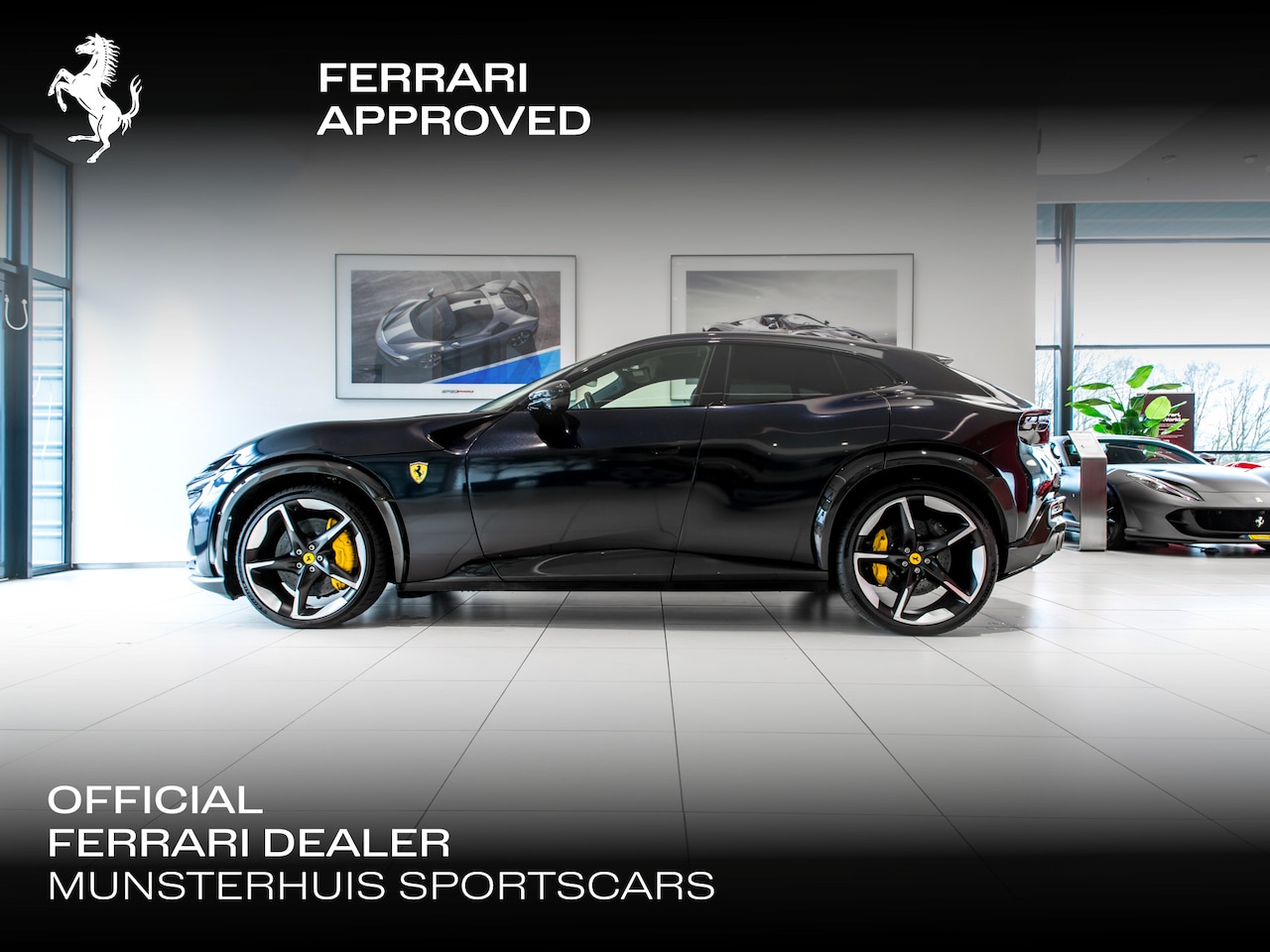Ferrari Purosangue - ~Ferrari Munsterhuis~ - AutoWereld.nl