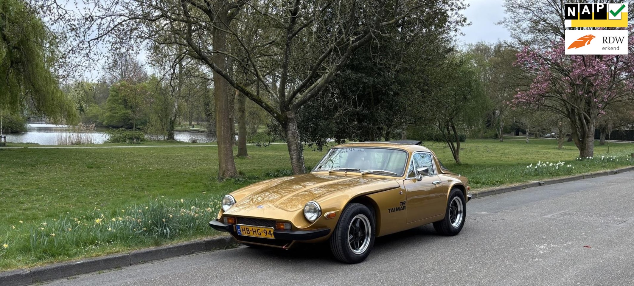 TVR 3000 - 3000 Taimar 5 bak, gerestaureerd+gereviseerd. - AutoWereld.nl