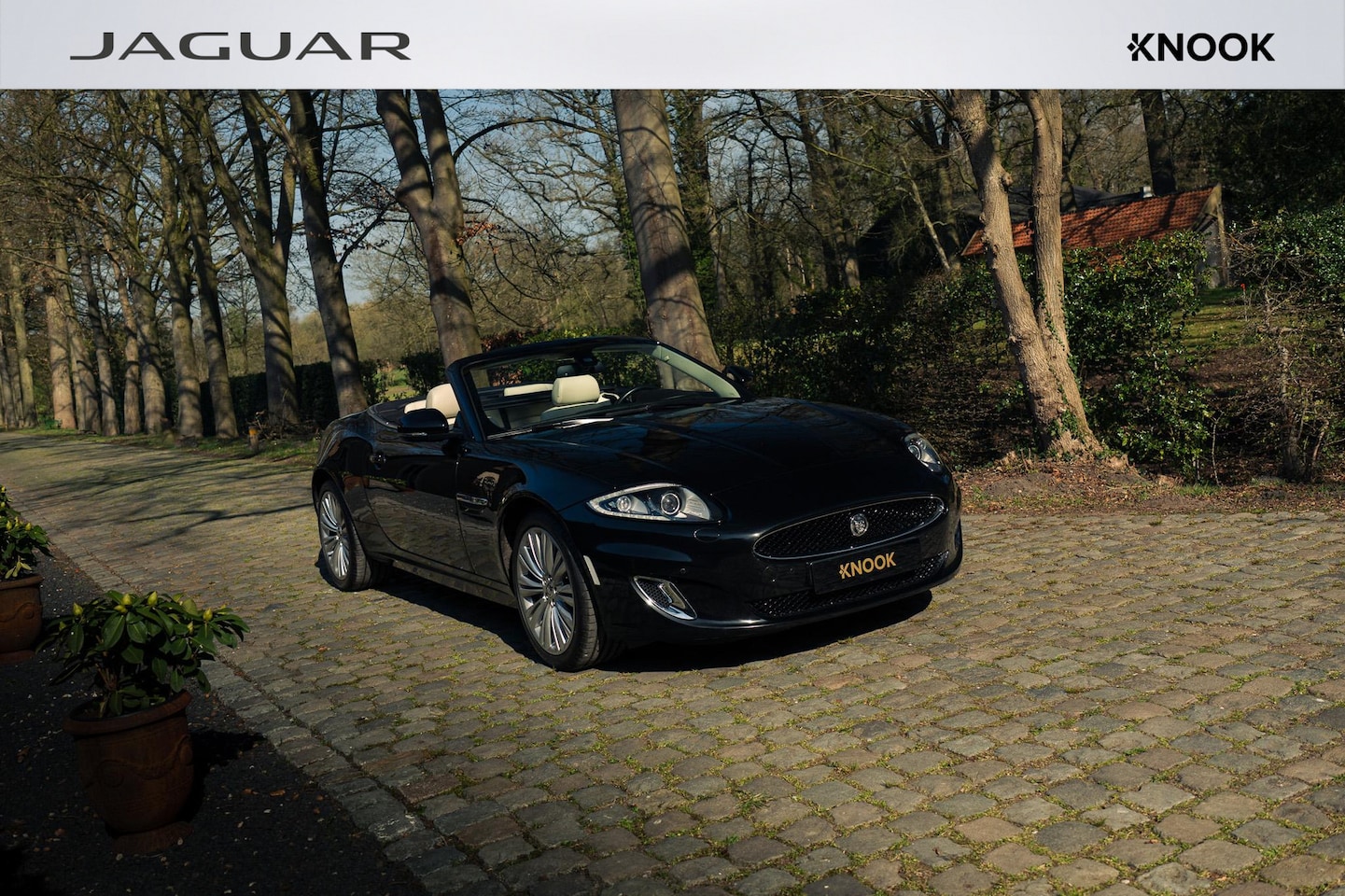 Jaguar XK - 5.0 V8 Convertible 5.0 V8 Convertible - AutoWereld.nl