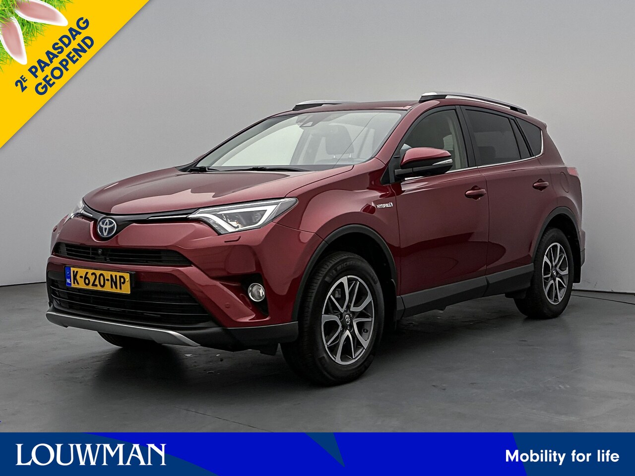 Toyota RAV4 - 2.5 Hybrid AWD executive Limited - AutoWereld.nl