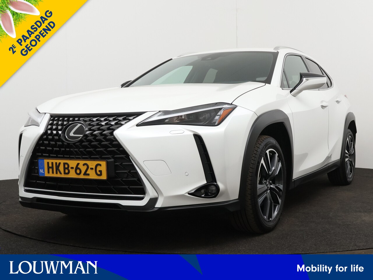 Lexus UX - 250h Business Line | Blind Spot Monitor | Leder | Stuur en stoel verwarming | - AutoWereld.nl