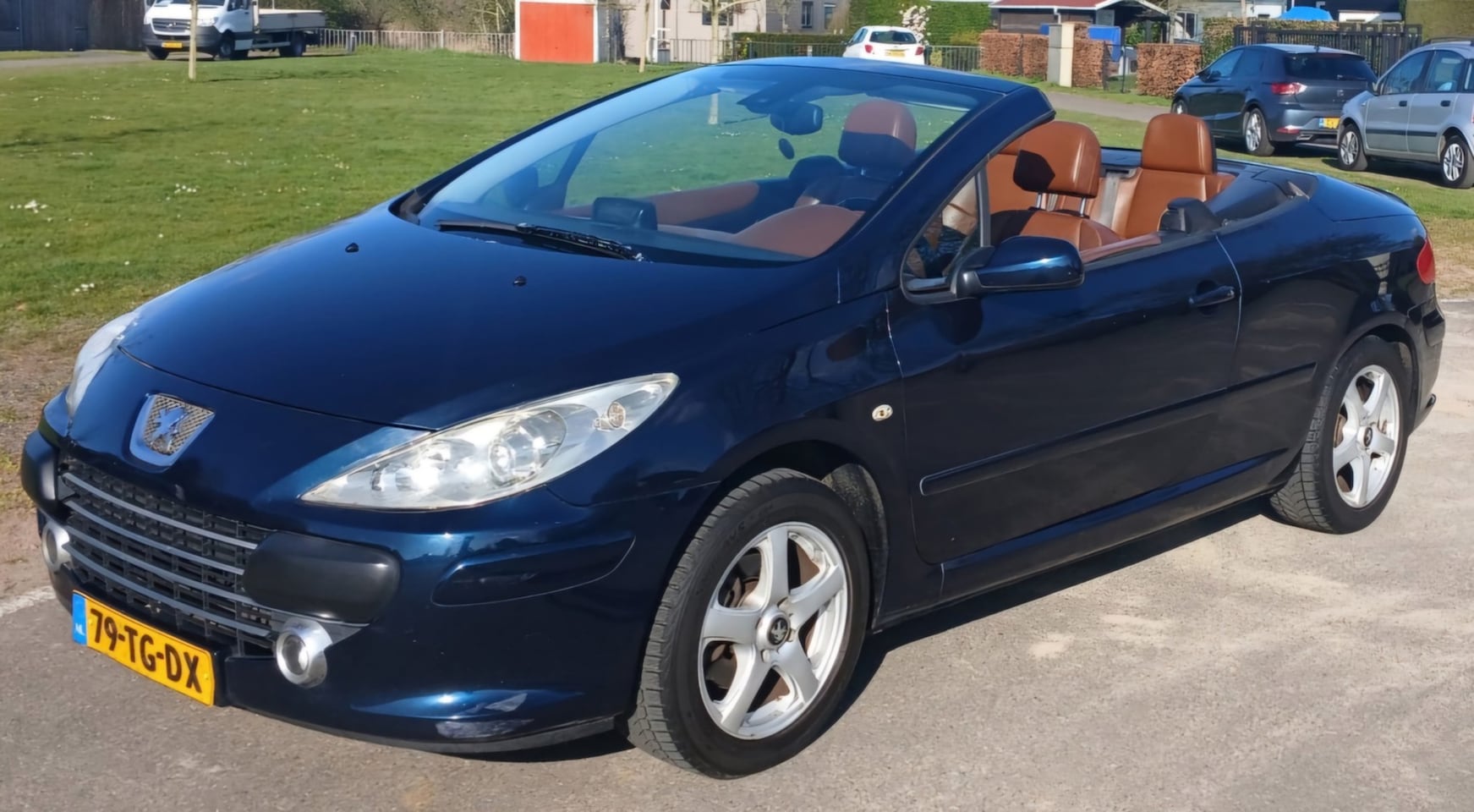 Peugeot 307 CC - 2.0-16V Oxygo 2.0-16V Oxygo - AutoWereld.nl