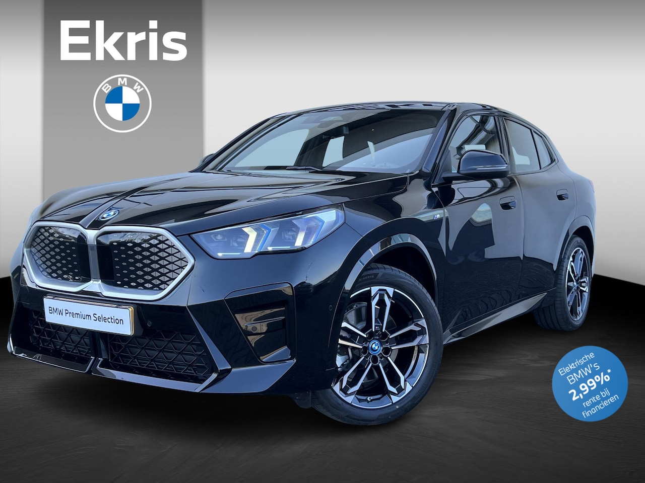 BMW iX2 - xDrive30 67 kWh M-Sportpakket | Panoramadak | Trekhaak | Driving Assistant Plus | Premium - AutoWereld.nl