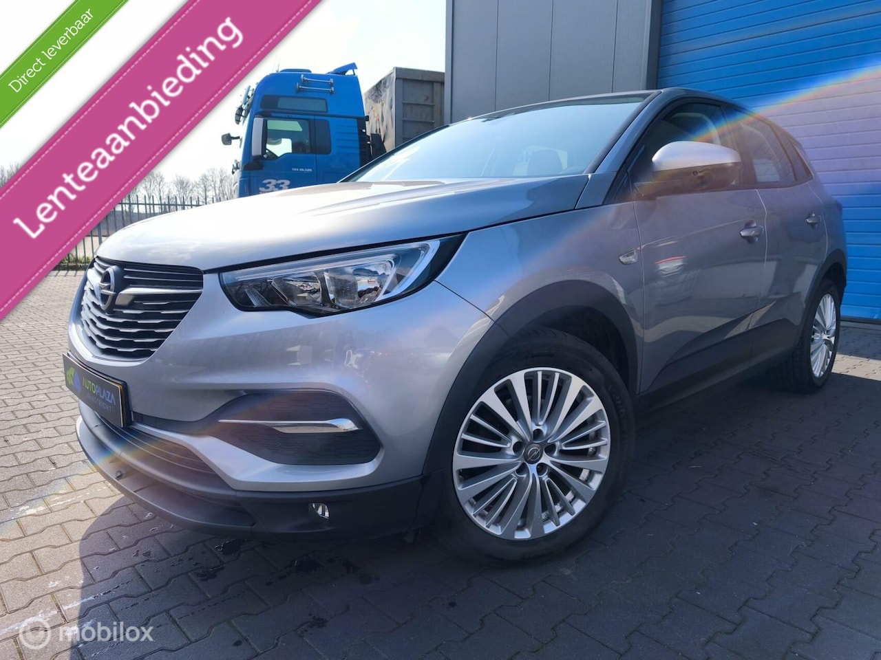 Opel Grandland X - / 1.2 / Turbo / Dealer onderhouden / Zuinig / - AutoWereld.nl