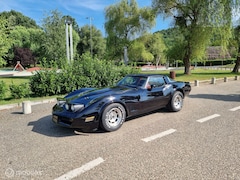 Chevrolet Corvette - C3 1982 | Route 66 auctions