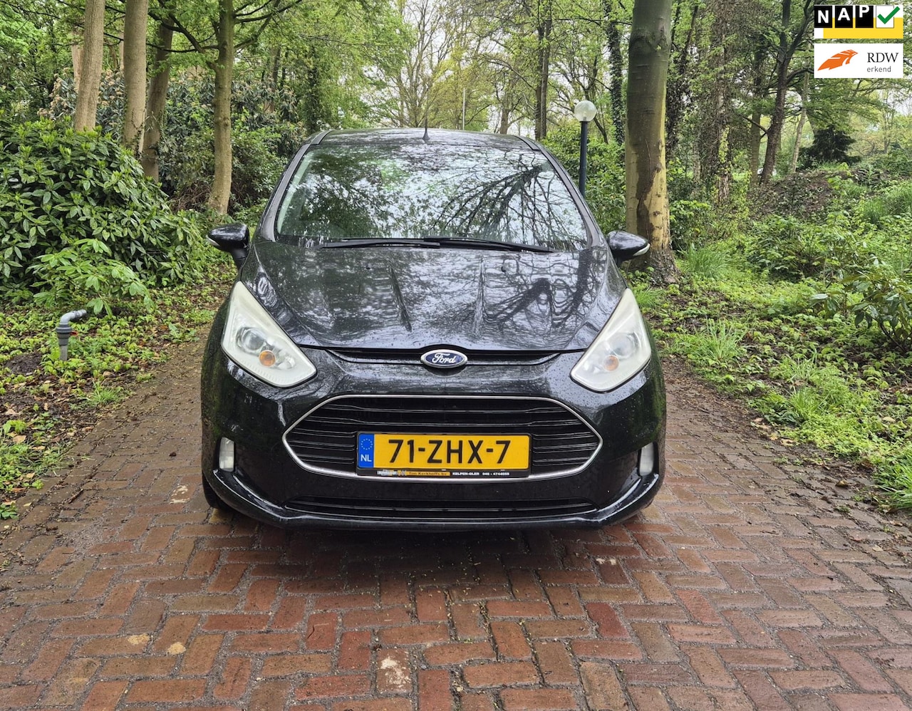 Ford B-Max - 1.0 EcoBoost Titanium 1.0 EcoBoost Titanium - AutoWereld.nl