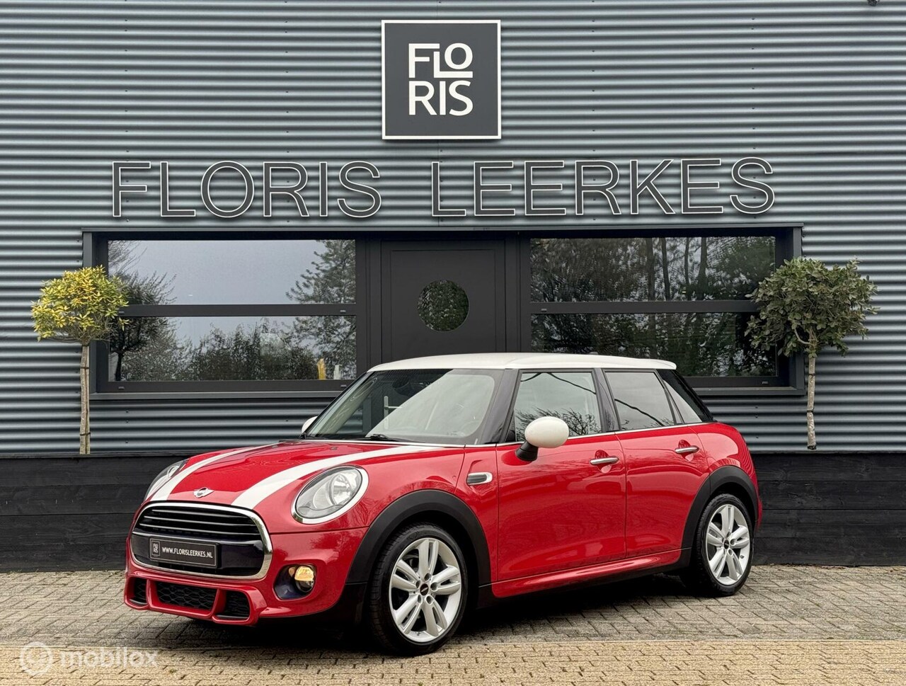 MINI Cooper - Mini 1.5 Salt Business - AutoWereld.nl