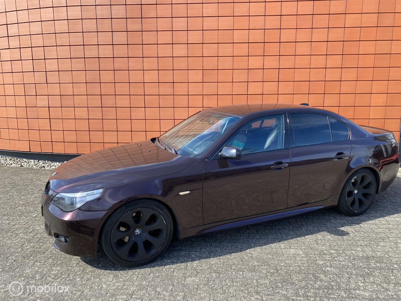 BMW 5-serie - 530d Executive/automaat/leer/ - AutoWereld.nl