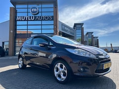 Ford Fiesta - 1.25 Titanium Airco NAP APK