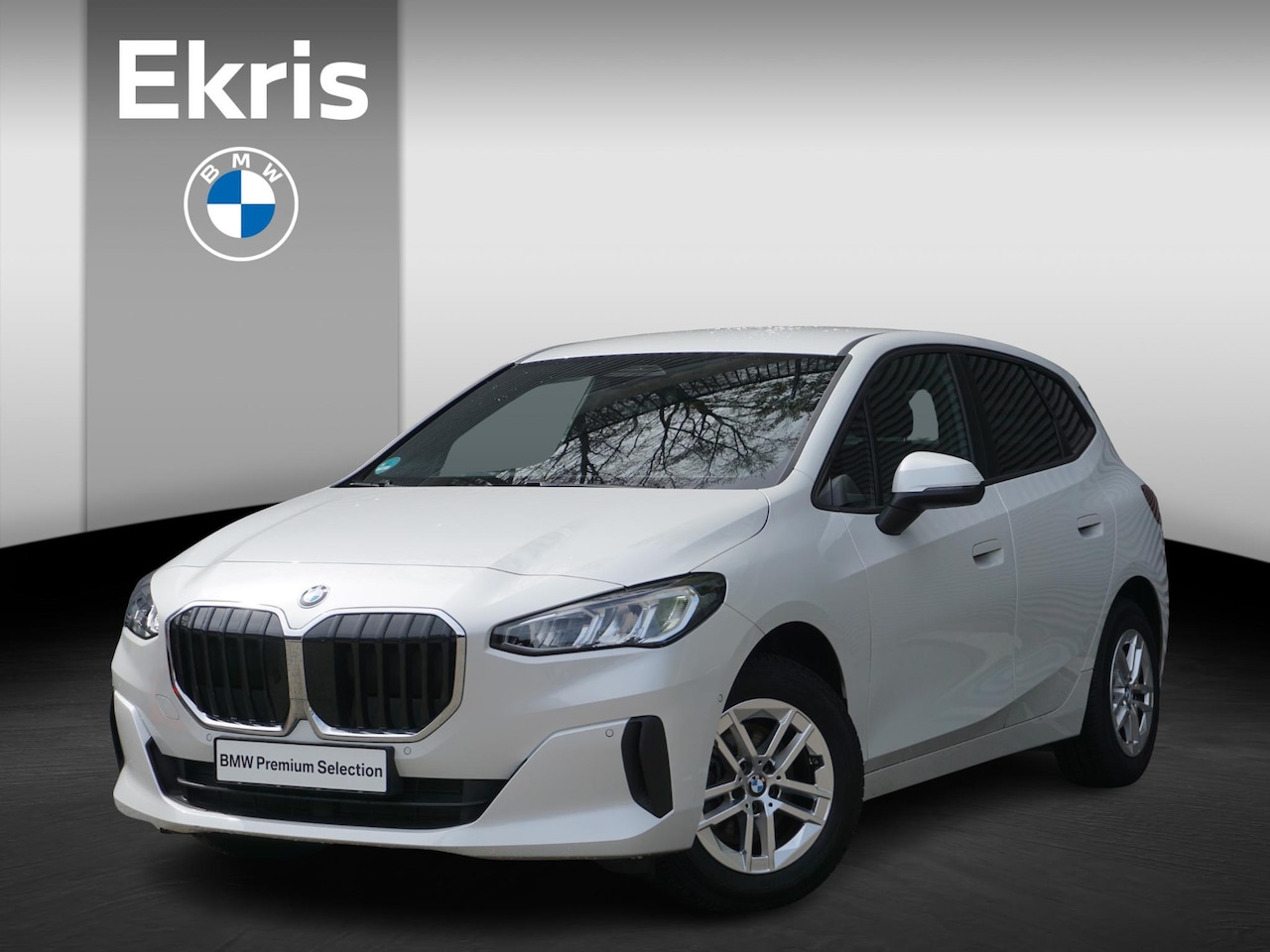 BMW 2-serie Active Tourer - 216i 16 inch LM Dubbelspaak (Styling 186) in Silver Grey | Extra getint glas | Elektrisch - AutoWereld.nl