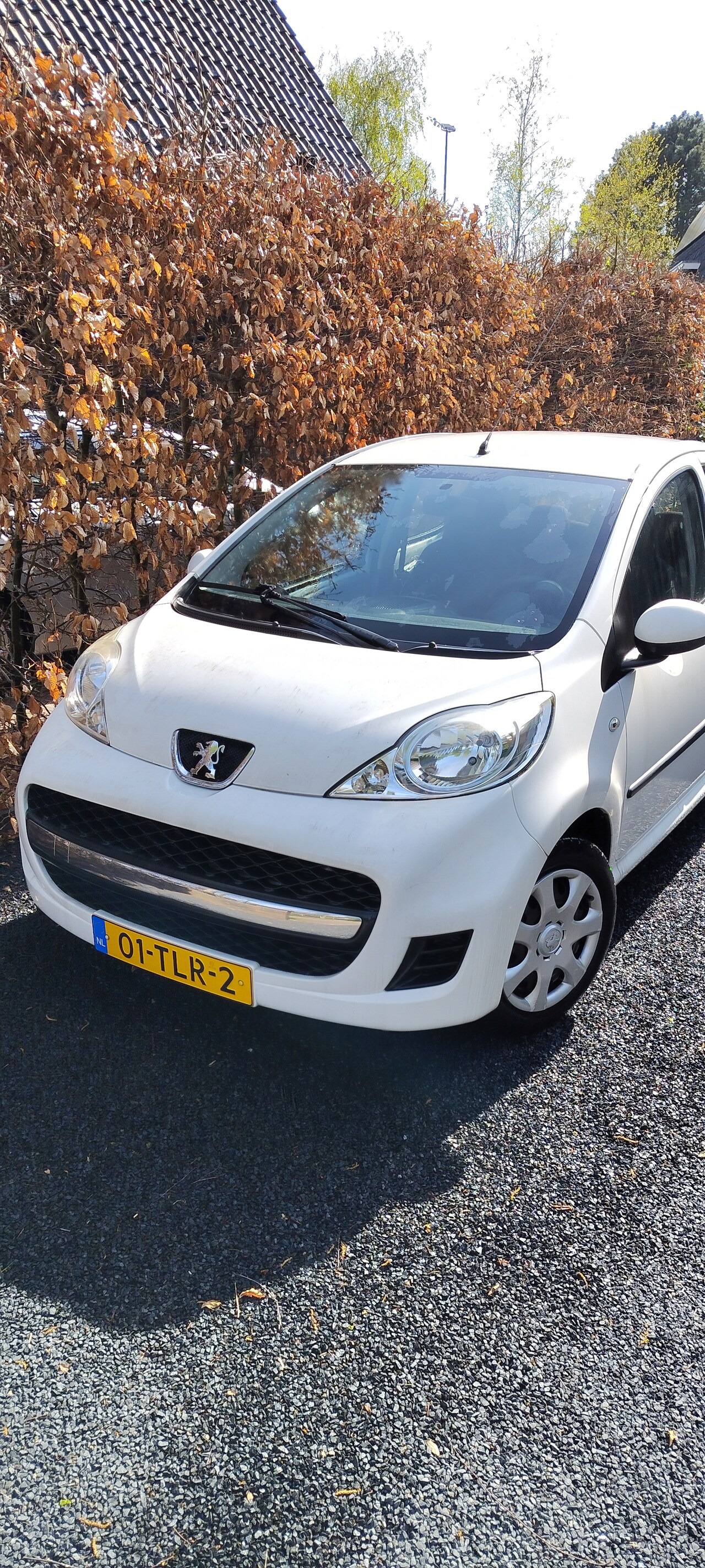 Peugeot 107 - 1.0-12V XS - AutoWereld.nl