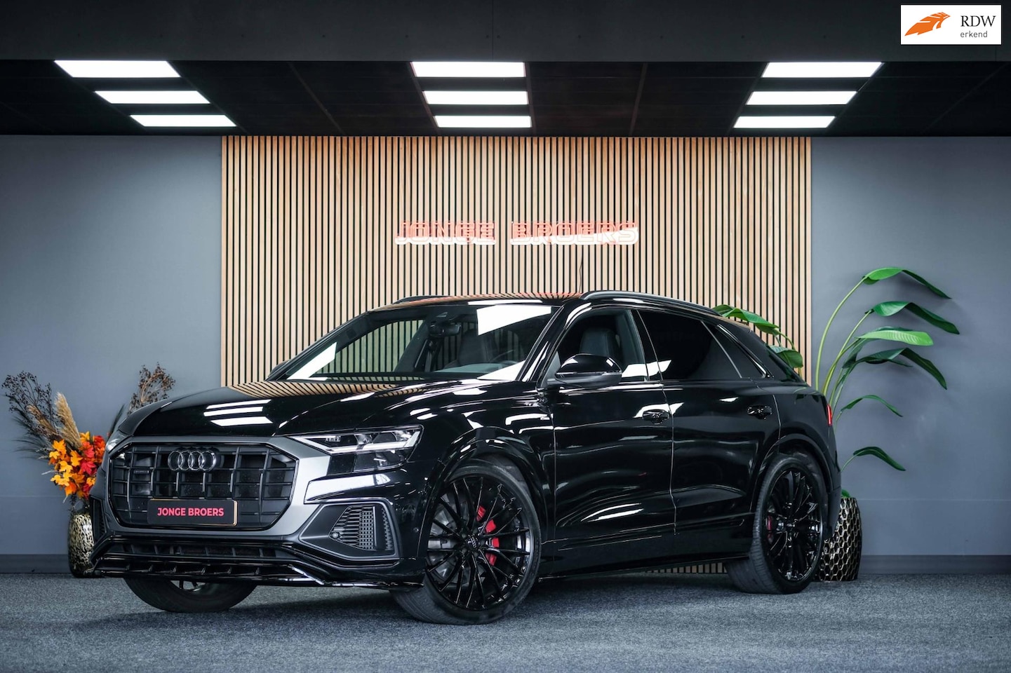Audi Q8 - 55 TFSI quattro Pro Line Plus |Competition|B&O|Pano - AutoWereld.nl