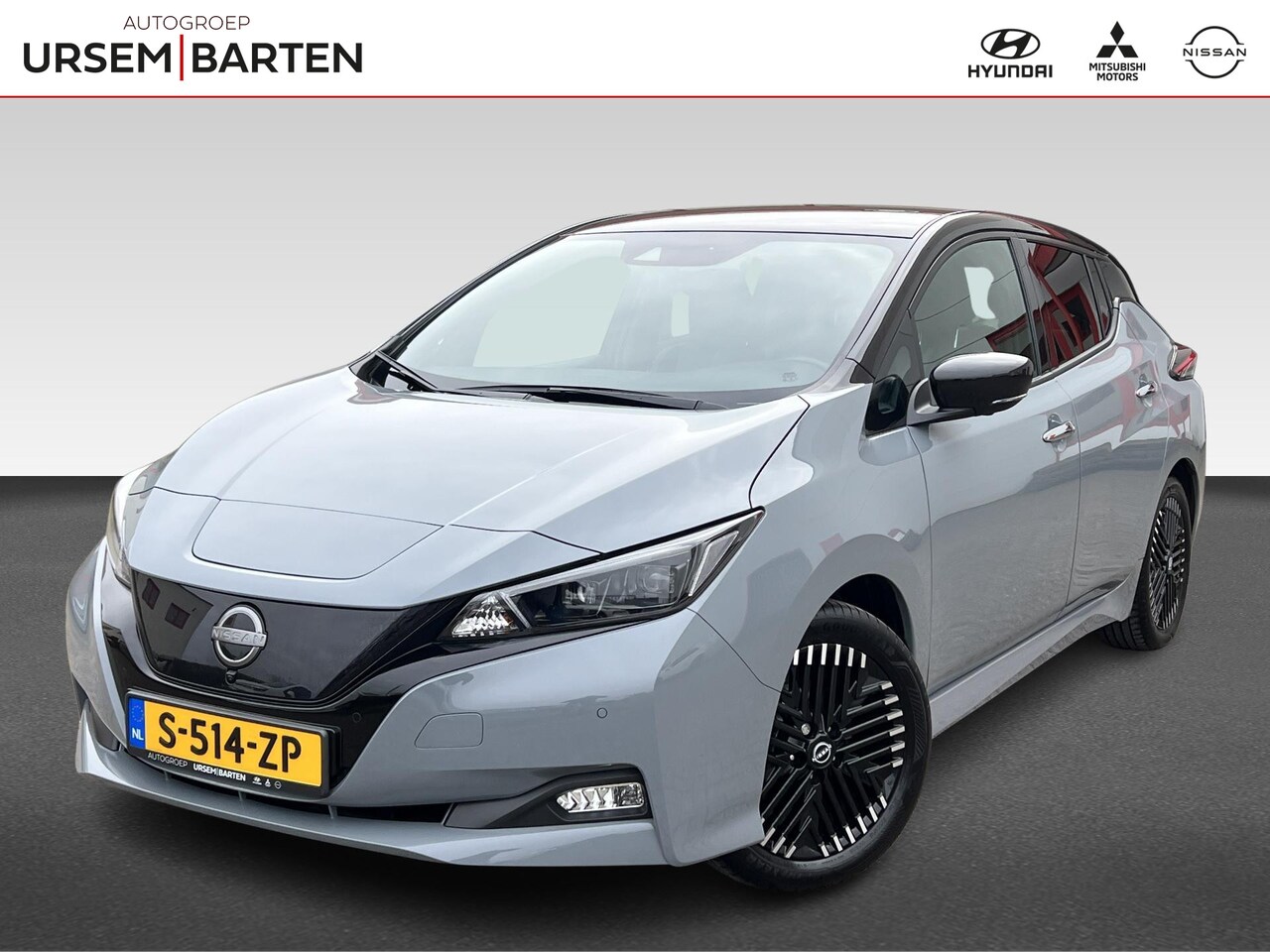 Nissan LEAF - Business Executive 39 kWh Business Executive 39kWh - AutoWereld.nl
