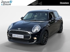 MINI One - 1.5 Salt
