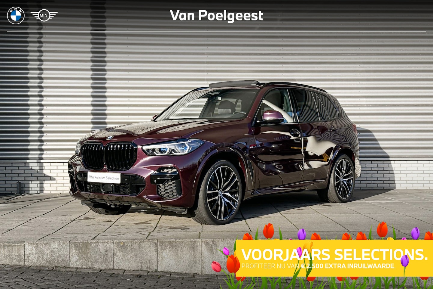 BMW X5 - xDrive40d High Executive / M Sport / Trekhaak / Selections 2500 - AutoWereld.nl